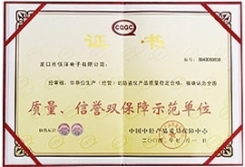 質(zhì)量、信譽雙保障示范單位