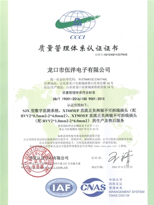 ISO:9001:2015質量管理體系認證證書