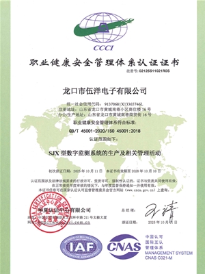 ISO:45001:2018職業(yè)健康安全管理體系